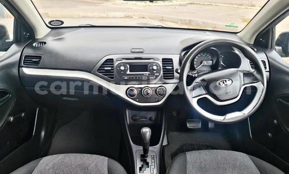 Tenga Tsaru Kia Picanto Bhurawuni Mota in Beitbridge in Matabeleland South Tenga Tsaru Kia Picanto Bhurawuni Mota in Beitbridge in Matabeleland South