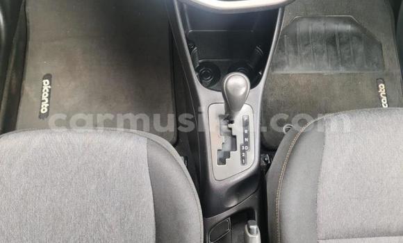 Tenga Tsaru Kia Picanto Bhurawuni Mota in Beitbridge in Matabeleland South Tenga Tsaru Kia Picanto Bhurawuni Mota in Beitbridge in Matabeleland South