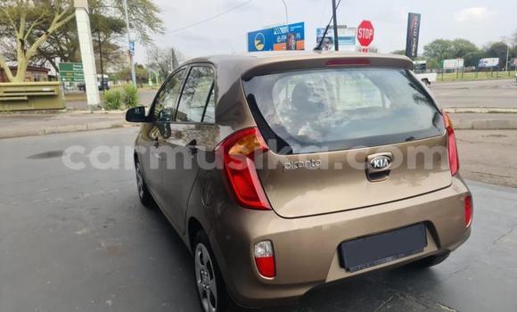 Tenga Tsaru Kia Picanto Bhurawuni Mota in Beitbridge in Matabeleland South Tenga Tsaru Kia Picanto Bhurawuni Mota in Beitbridge in Matabeleland South