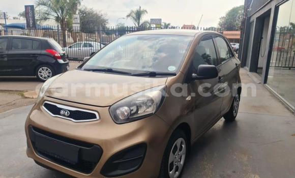 Tenga Tsaru Kia Picanto Bhurawuni Mota in Beitbridge in Matabeleland South Tenga Tsaru Kia Picanto Bhurawuni Mota in Beitbridge in Matabeleland South
