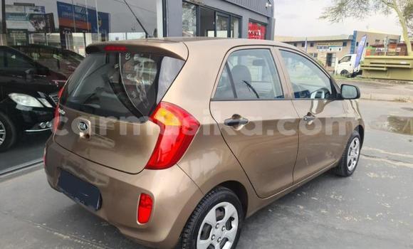 Tenga Tsaru Kia Picanto Bhurawuni Mota in Beitbridge in Matabeleland South Tenga Tsaru Kia Picanto Bhurawuni Mota in Beitbridge in Matabeleland South