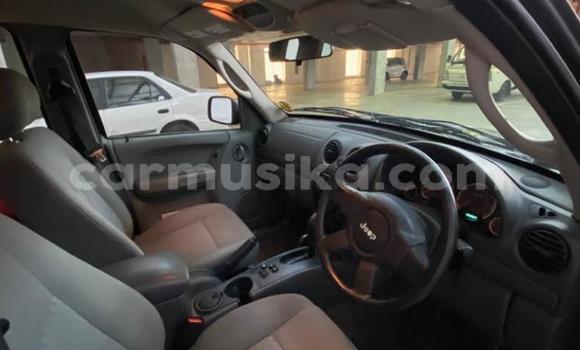 Tenga Tsaru Jeep Grand Cherokee Nhema Mota in Beitbridge in Matabeleland South Tenga Tsaru Jeep Grand Cherokee Nhema Mota in Beitbridge in Matabeleland South