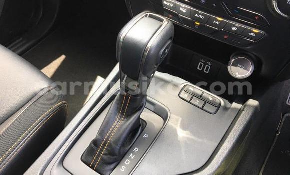 Tenga Tsaru Ford Ranger Chena Mota in Beitbridge in Matabeleland South Tenga Tsaru Ford Ranger Chena Mota in Beitbridge in Matabeleland South