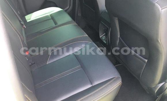 Tenga Tsaru Ford Ranger Chena Mota in Beitbridge in Matabeleland South Tenga Tsaru Ford Ranger Chena Mota in Beitbridge in Matabeleland South