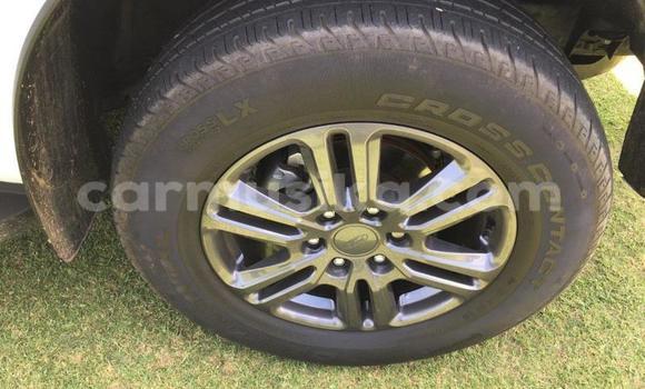 Tenga Tsaru Ford Ranger Chena Mota in Beitbridge in Matabeleland South Tenga Tsaru Ford Ranger Chena Mota in Beitbridge in Matabeleland South