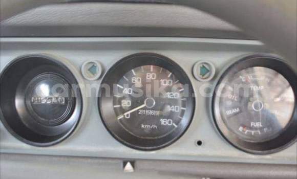 Acheter Occasion Voiture Nissan Pickup Blanc à Beitbridge, Matabeleland South Acheter Occasion Voiture Nissan Pickup Blanc à Beitbridge, Matabeleland South