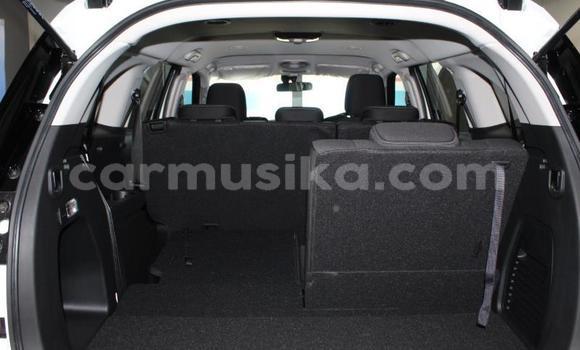 Tenga Tsaru Isuzu MU-X Chena Mota in Beitbridge in Matabeleland South Tenga Tsaru Isuzu MU-X Chena Mota in Beitbridge in Matabeleland South