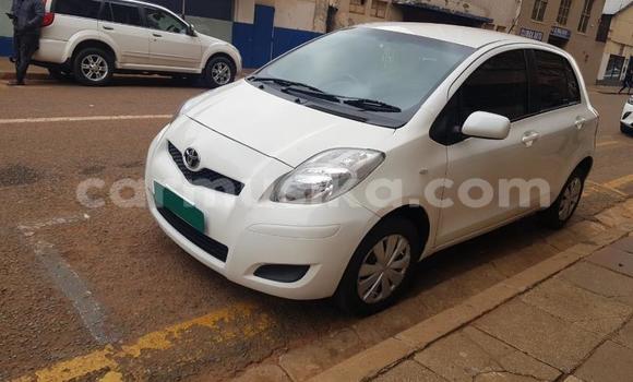 Buy Used Toyota Yaris White Car in Beitbridge in Matabeleland South Buy Used Toyota Yaris White Car in Beitbridge in Matabeleland South