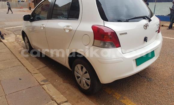 Buy Used Toyota Yaris White Car in Beitbridge in Matabeleland South Buy Used Toyota Yaris White Car in Beitbridge in Matabeleland South