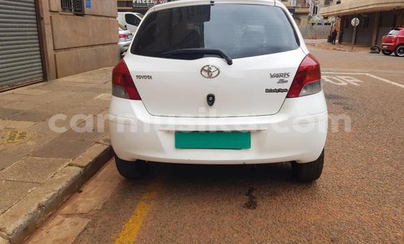 Buy Used Toyota Yaris White Car in Beitbridge in Matabeleland South Buy Used Toyota Yaris White Car in Beitbridge in Matabeleland South