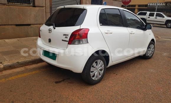 Buy Used Toyota Yaris White Car in Beitbridge in Matabeleland South Buy Used Toyota Yaris White Car in Beitbridge in Matabeleland South