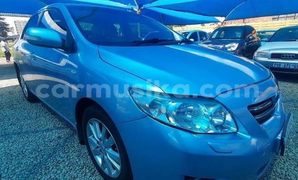 Tenga Tsaru Toyota Corolla Bhuruu Mota in Beitbridge in Matabeleland South