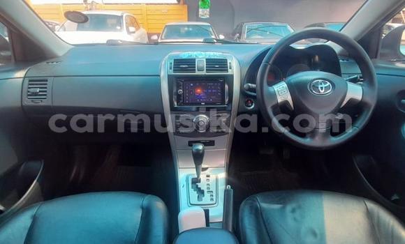 Tenga Tsaru Toyota Corolla Bhuruu Mota in Beitbridge in Matabeleland South Tenga Tsaru Toyota Corolla Bhuruu Mota in Beitbridge in Matabeleland South