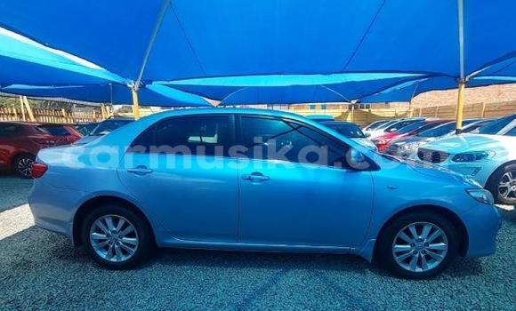 Tenga Tsaru Toyota Corolla Bhuruu Mota in Beitbridge in Matabeleland South Tenga Tsaru Toyota Corolla Bhuruu Mota in Beitbridge in Matabeleland South