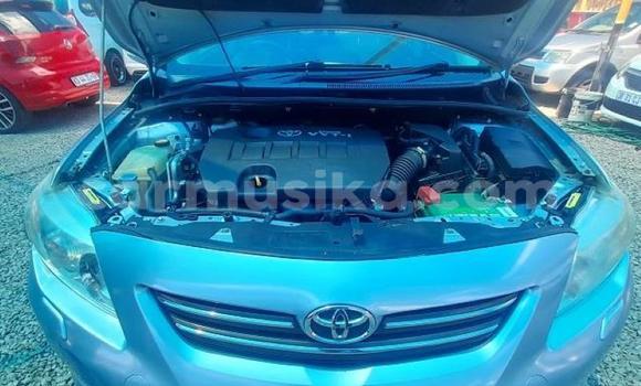 Tenga Tsaru Toyota Corolla Bhuruu Mota in Beitbridge in Matabeleland South Tenga Tsaru Toyota Corolla Bhuruu Mota in Beitbridge in Matabeleland South