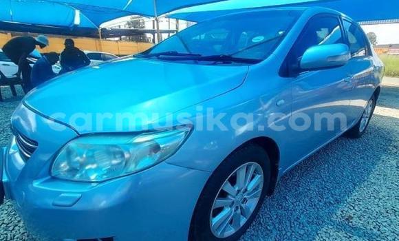 Tenga Tsaru Toyota Corolla Bhuruu Mota in Beitbridge in Matabeleland South Tenga Tsaru Toyota Corolla Bhuruu Mota in Beitbridge in Matabeleland South