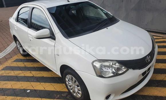 Tenga Tsaru Toyota Corolla Chena Mota in Beitbridge in Matabeleland South