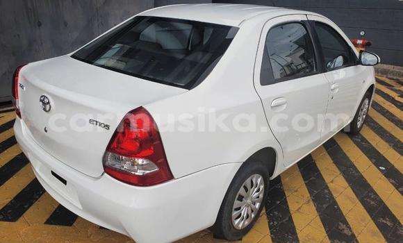 Buy Used Toyota Corolla White Car in Beitbridge in Matabeleland South Buy Used Toyota Corolla White Car in Beitbridge in Matabeleland South