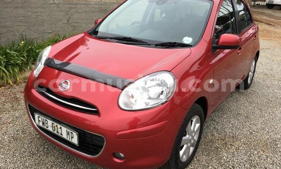 Buy Used Nissan Micra Red Car in Beitbridge in Matabeleland South
