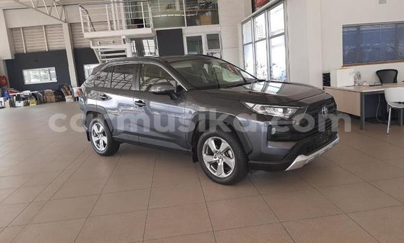 Buy Used Toyota RAV4 Black Car in Beitbridge in Matabeleland South Buy Used Toyota RAV4 Black Car in Beitbridge in Matabeleland South