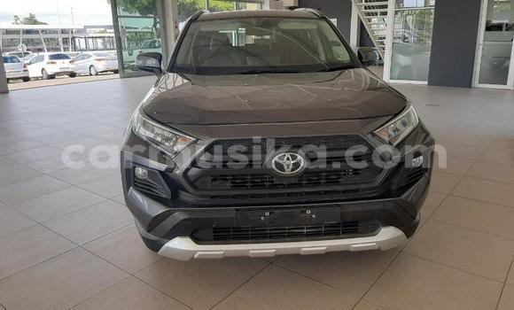 Buy Used Toyota RAV4 Black Car in Beitbridge in Matabeleland South Buy Used Toyota RAV4 Black Car in Beitbridge in Matabeleland South