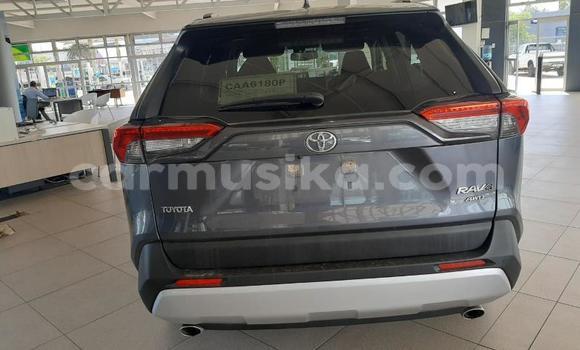 Buy Used Toyota RAV4 Black Car in Beitbridge in Matabeleland South Buy Used Toyota RAV4 Black Car in Beitbridge in Matabeleland South