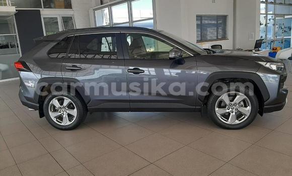 Buy Used Toyota RAV4 Black Car in Beitbridge in Matabeleland South Buy Used Toyota RAV4 Black Car in Beitbridge in Matabeleland South