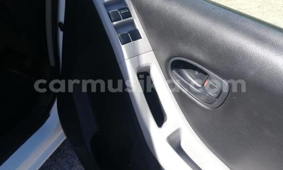 Buy Used Toyota Yaris White Car in Beitbridge in Matabeleland South Buy Used Toyota Yaris White Car in Beitbridge in Matabeleland South