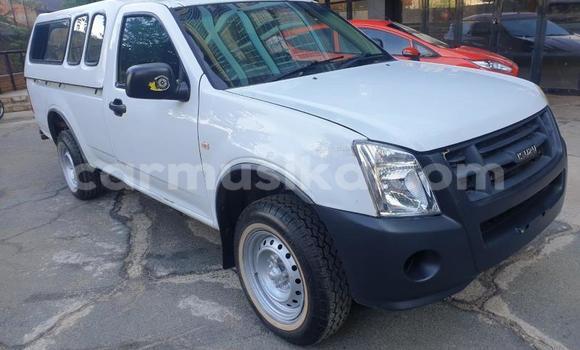 Buy Used Isuzu KB White Car in Beitbridge in Matabeleland South Buy Used Isuzu KB White Car in Beitbridge in Matabeleland South