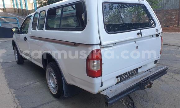 Buy Used Isuzu KB White Car in Beitbridge in Matabeleland South Buy Used Isuzu KB White Car in Beitbridge in Matabeleland South
