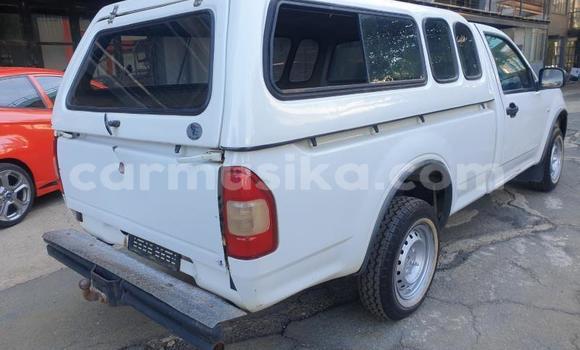 Buy Used Isuzu KB White Car in Beitbridge in Matabeleland South Buy Used Isuzu KB White Car in Beitbridge in Matabeleland South