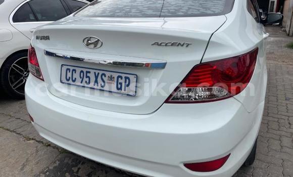 Buy Used Hyundai Accent White Car in Beitbridge in Matabeleland South Buy Used Hyundai Accent White Car in Beitbridge in Matabeleland South
