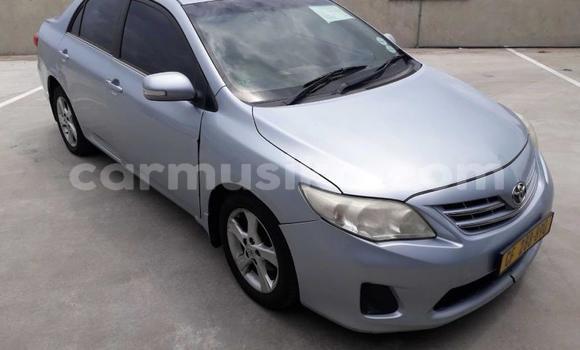 Buy Used Toyota Corolla Blue Car in Harare in Harare