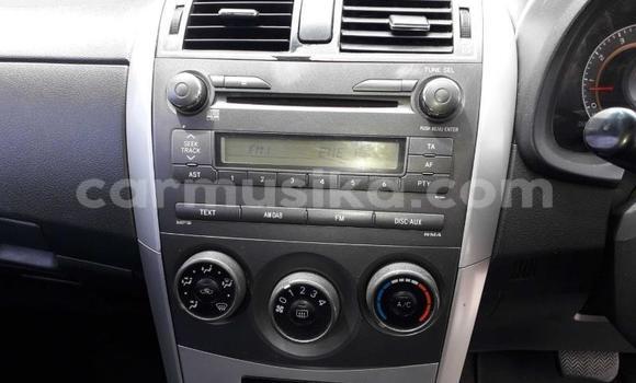 Acheter Occasion Voiture Toyota Corolla Bleu à Harare, Harare Acheter Occasion Voiture Toyota Corolla Bleu à Harare, Harare