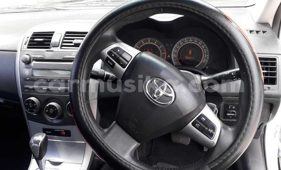 Acheter Occasion Voiture Toyota Corolla Bleu à Harare, Harare Acheter Occasion Voiture Toyota Corolla Bleu à Harare, Harare