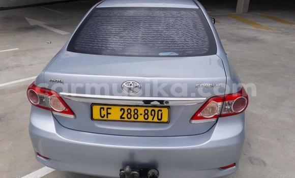 Acheter Occasion Voiture Toyota Corolla Bleu à Harare, Harare Acheter Occasion Voiture Toyota Corolla Bleu à Harare, Harare