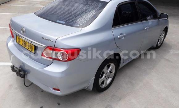 Acheter Occasion Voiture Toyota Corolla Bleu à Harare, Harare Acheter Occasion Voiture Toyota Corolla Bleu à Harare, Harare