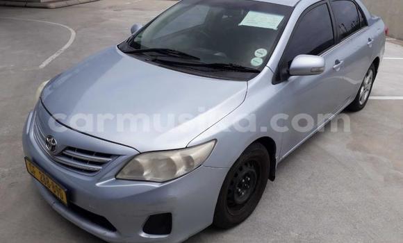 Acheter Occasion Voiture Toyota Corolla Bleu à Harare, Harare Acheter Occasion Voiture Toyota Corolla Bleu à Harare, Harare