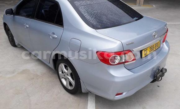 Acheter Occasion Voiture Toyota Corolla Bleu à Harare, Harare Acheter Occasion Voiture Toyota Corolla Bleu à Harare, Harare
