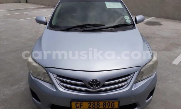 Acheter Occasion Voiture Toyota Corolla Bleu à Harare, Harare Acheter Occasion Voiture Toyota Corolla Bleu à Harare, Harare