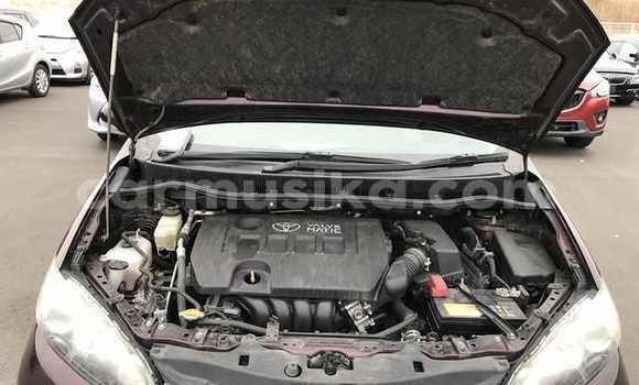 Nunua Ilio tumika Toyota Wish Beige Gari ndani ya Beitbridge nchini Matabeleland Kusini Nunua Ilio tumika Toyota Wish Beige Gari ndani ya Beitbridge nchini Matabeleland Kusini