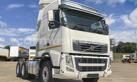 Tenga Tsaru Volvo 440 Chena Mota in Beitbridge in Matabeleland South