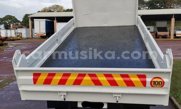 Tenga Tsaru Haima 3 Chena Mota in Beitbridge in Matabeleland South Tenga Tsaru Haima 3 Chena Mota in Beitbridge in Matabeleland South