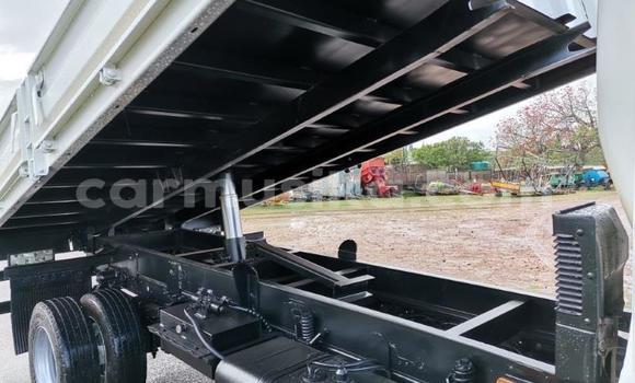 Tenga Tsaru Haima 3 Chena Mota in Beitbridge in Matabeleland South Tenga Tsaru Haima 3 Chena Mota in Beitbridge in Matabeleland South