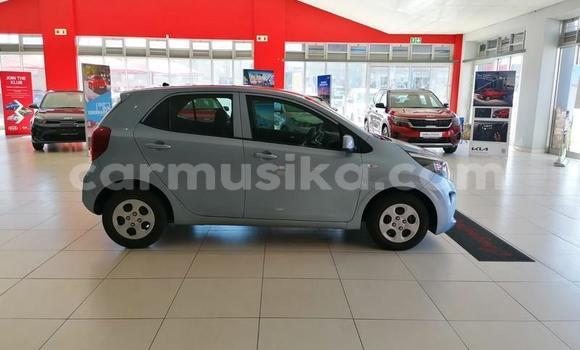Buy Used Kia Picanto Blue Car in Beitbridge in Matabeleland South Buy Used Kia Picanto Blue Car in Beitbridge in Matabeleland South