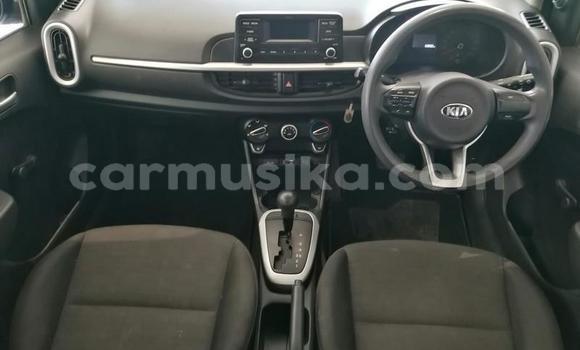 Buy Used Kia Picanto Blue Car in Beitbridge in Matabeleland South Buy Used Kia Picanto Blue Car in Beitbridge in Matabeleland South