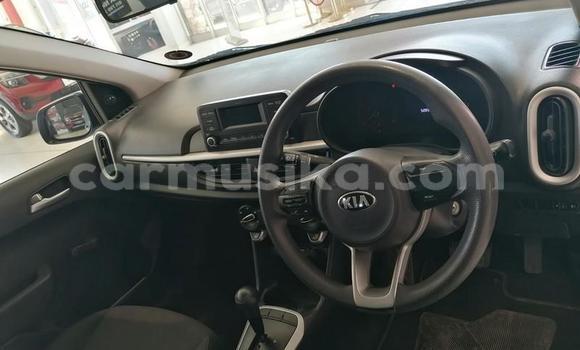Buy Used Kia Picanto Blue Car in Beitbridge in Matabeleland South Buy Used Kia Picanto Blue Car in Beitbridge in Matabeleland South