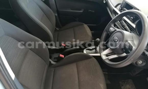 Buy Used Kia Picanto Blue Car in Beitbridge in Matabeleland South Buy Used Kia Picanto Blue Car in Beitbridge in Matabeleland South