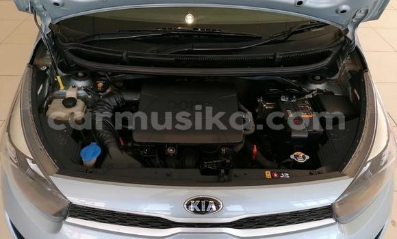 Buy Used Kia Picanto Blue Car in Beitbridge in Matabeleland South Buy Used Kia Picanto Blue Car in Beitbridge in Matabeleland South