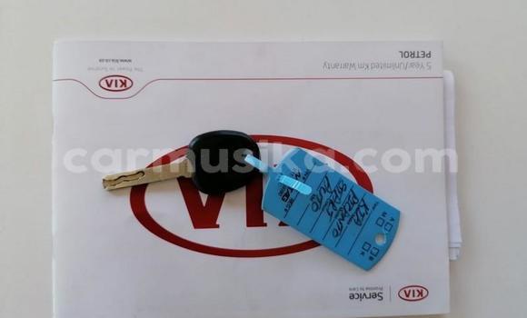 Buy Used Kia Picanto Blue Car in Beitbridge in Matabeleland South Buy Used Kia Picanto Blue Car in Beitbridge in Matabeleland South